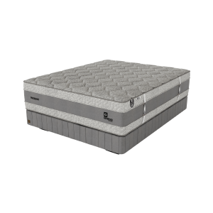 Genessi President Plush Single