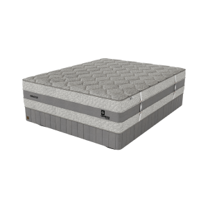 Genessi Senator Medium King