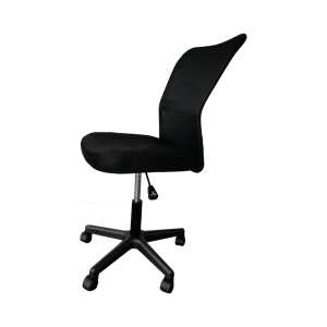 HII Campus Student Chair