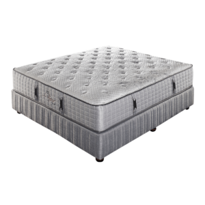 Sealy La Différence Nicci