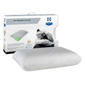 Sealy My Memory Pillow