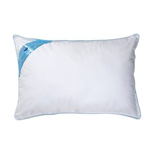 Sealy Natural Comfort Pillow