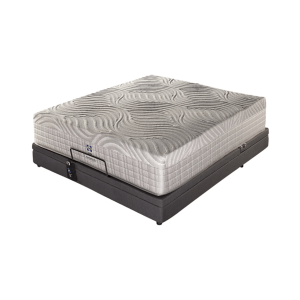 Sealy Posturematic Odessa Motion Bed Set - Queen